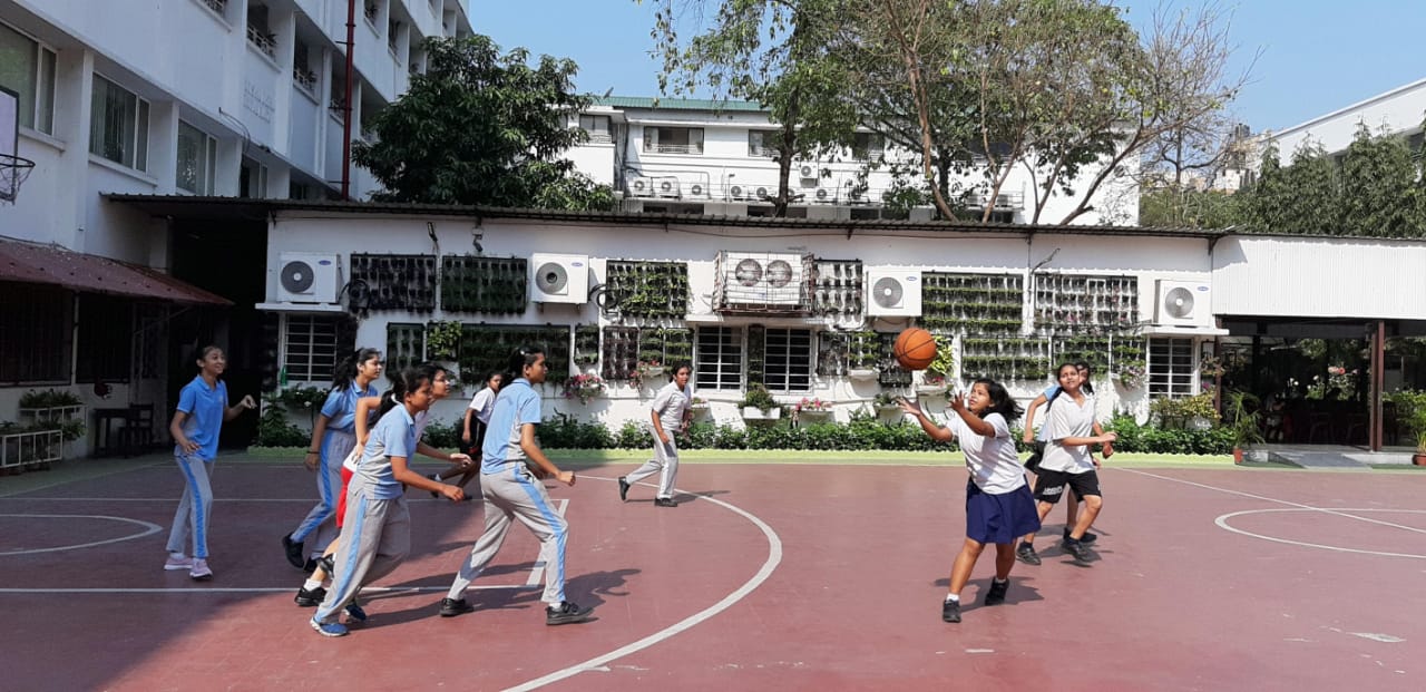 PE Activity 19